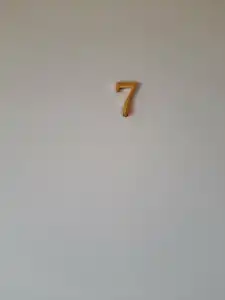 Турист - 23