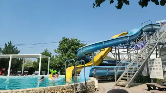 Альбатрос - 3