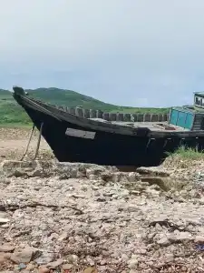 Аквалайн - 48