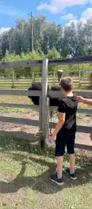 Мультиферма - 58