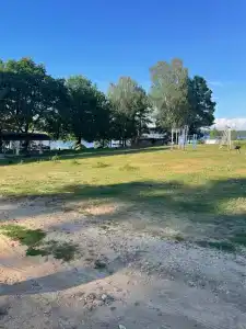 Зелёная роща - 28