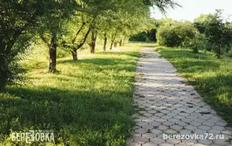 Березовка - 1