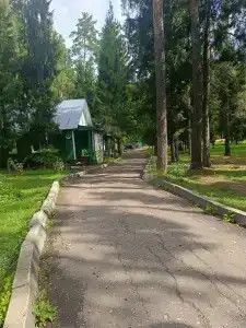 Сосновый берег - 19