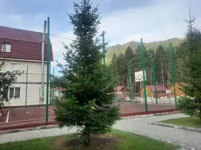 Своя усадьба - 43
