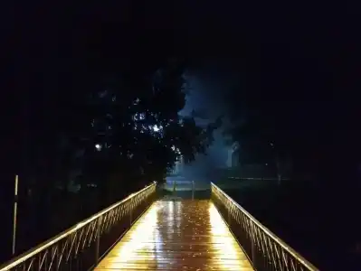 Фантазия - 33