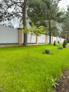 Джалильский - 51