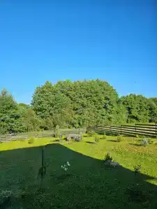 Inovo Lake View - 33