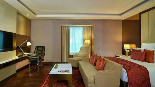 Radisson Blu Jaipur - 89