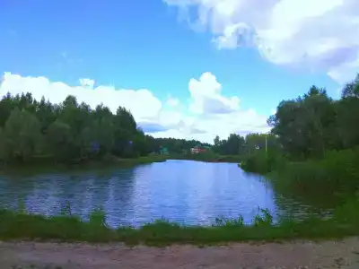 Голден Фиш - 27