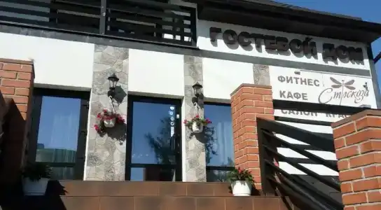 Стрекоза - 60