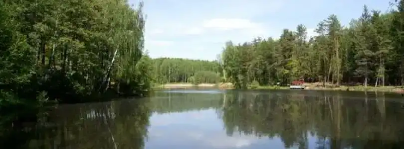 Рождественские пруды - 6