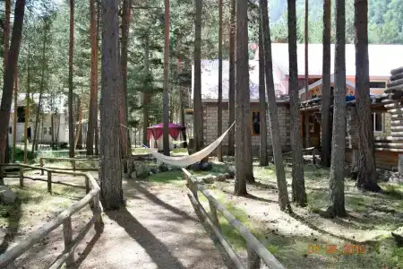 Эльбрус Марал - 35