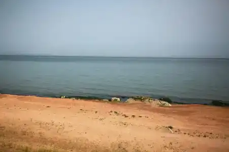 Красный бак - 66