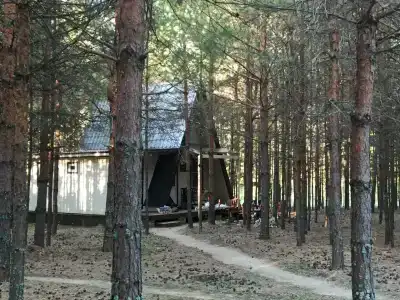 Пчелинцево - 46