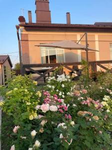 Usadba Ilyinskaya - 23