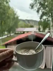 Кедр - 10