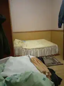 Колосок - 17