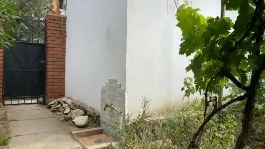 КристОля - 52