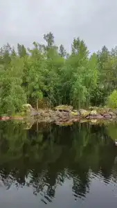 Форт Верный - 96