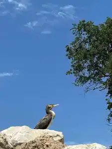 Место Встречи - 12