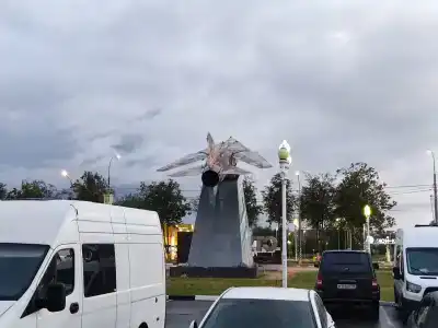 Ибис - 12