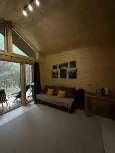 Сосны. Пространствие - 39