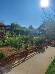 Золотые Пески - 21