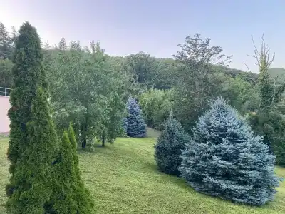 Нефтяник Сибири - 28