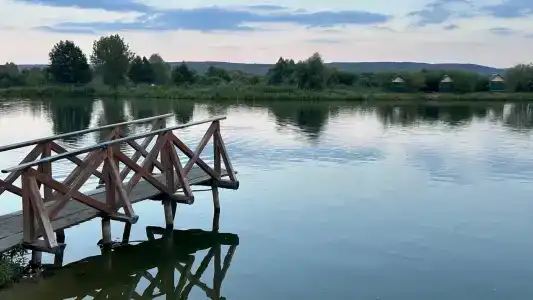 Сура - 8