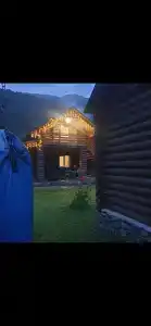 Платан - 49