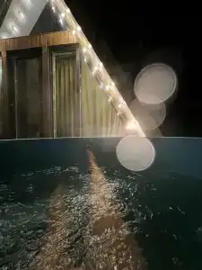 Хвойный Лес - 70