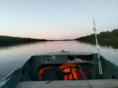 Лес и Рыба - 67