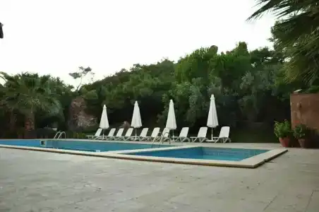 Palm Court Suites - 63
