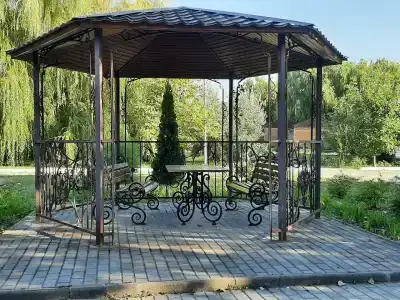 Нижегородец - 20