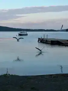 Отдых у воды - 36