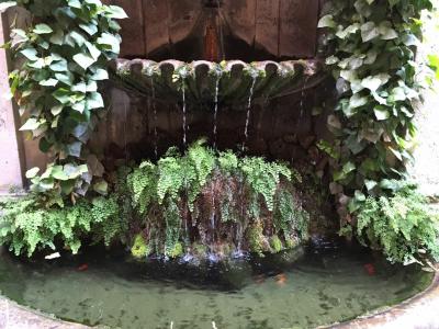 Guest House Amaranto Romano - 1