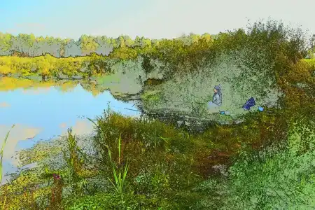 Лес среди болот - 6