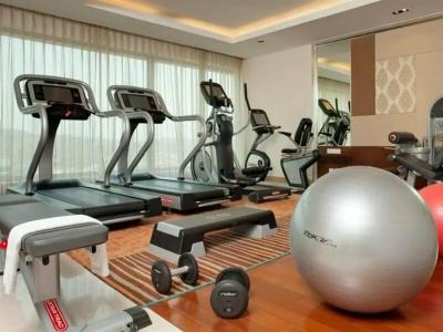 Holiday Inn Mumbai International Airport, An Ihg - 17