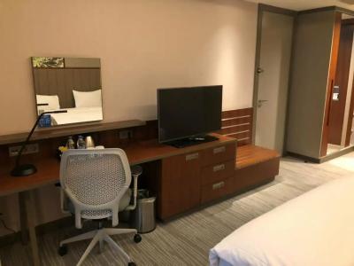 Hilton Garden Inn Istanbul Atatürk Airport - 6