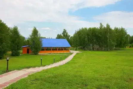 Мечта - 49