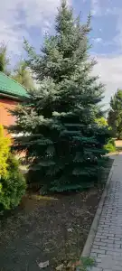 Тихая Гавань - 7