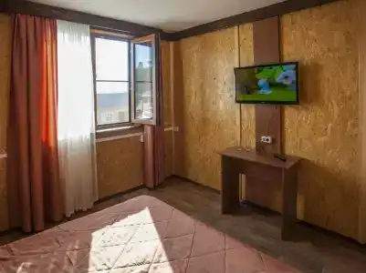 Байкальская Солянка - 81