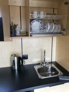 Форт Верный - 46