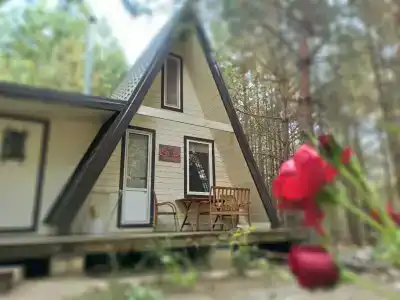 Пчелинцево - 0