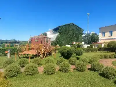 Белый лебедь - 36