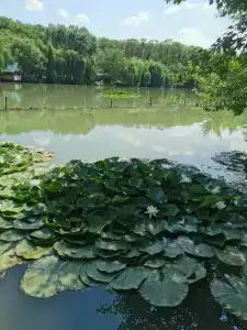 Хуторок - 16