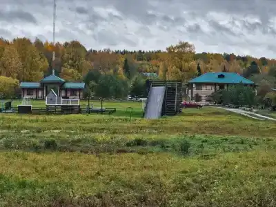 Маркомусы - 40