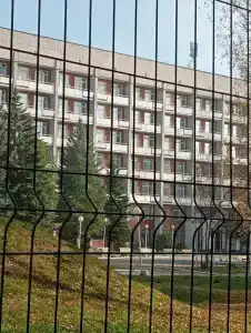 Сосновый - 23