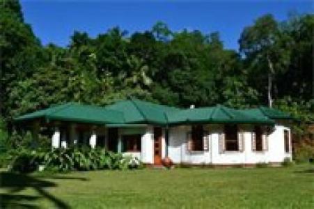 Sweet Cinnamon Kandy - 20