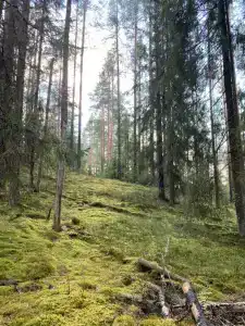 Долина Парк - 40